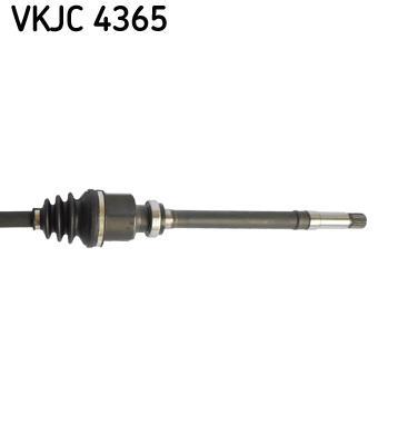 Cardan SKF VKJC 4365